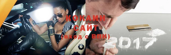 соль ск Абаза