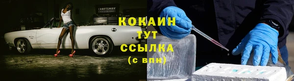 соль ск Абаза