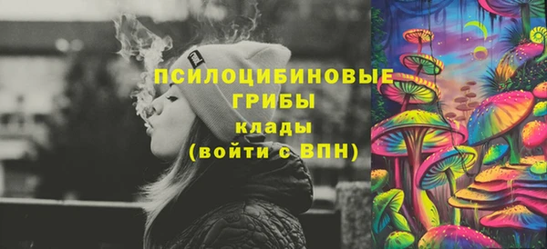 ешки Абинск